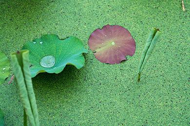 官方消息：涉嫌泄露《GTA6》事件少年已被捕